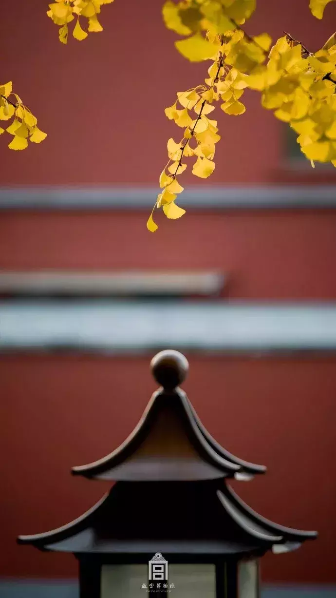 银杏黄了,枫叶红了,10月适合去的这5个地方承包国内最美秋景!