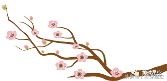 排球界外球有哪些（欣赏精彩的女排世锦赛，你要了解的队员作用、站位和移动）-趣拿体育