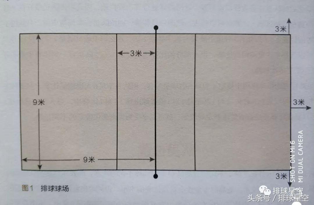 排球界外球有哪些（欣赏精彩的女排世锦赛，你要了解的队员作用、站位和移动）