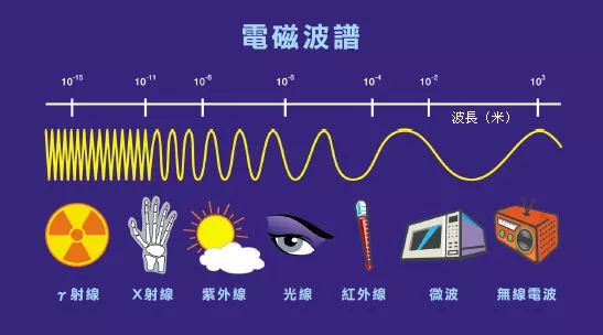 看起来干净的宾馆房间里粘着陌生人的体液？超方便的鉴定方法｜科学DIY