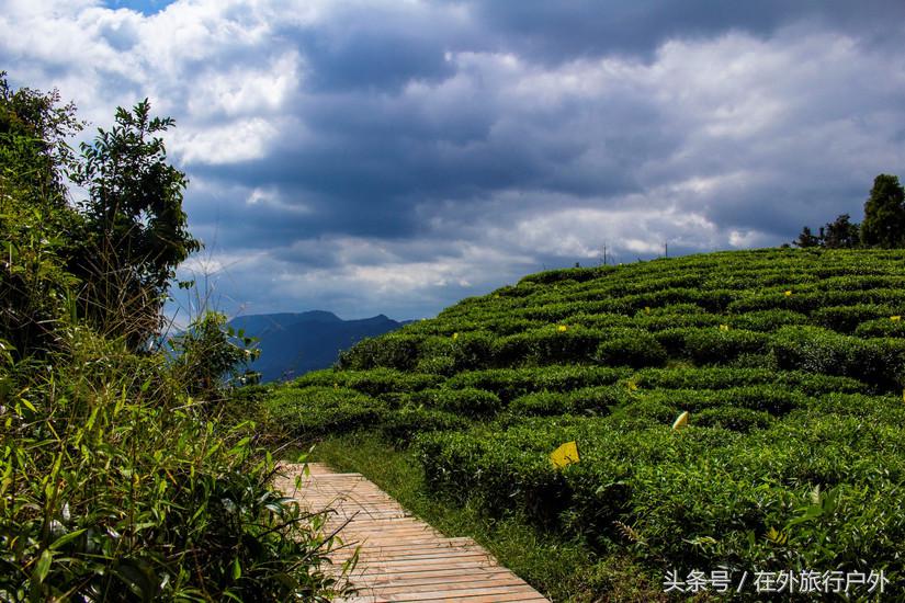福鼎首个茶山观光栈道九峰山