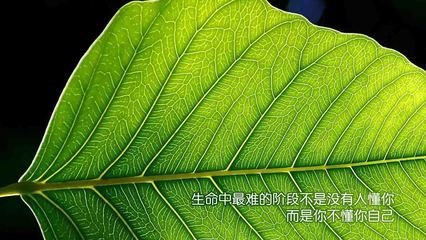 网络流传最火的30句名言，看看你认识几条