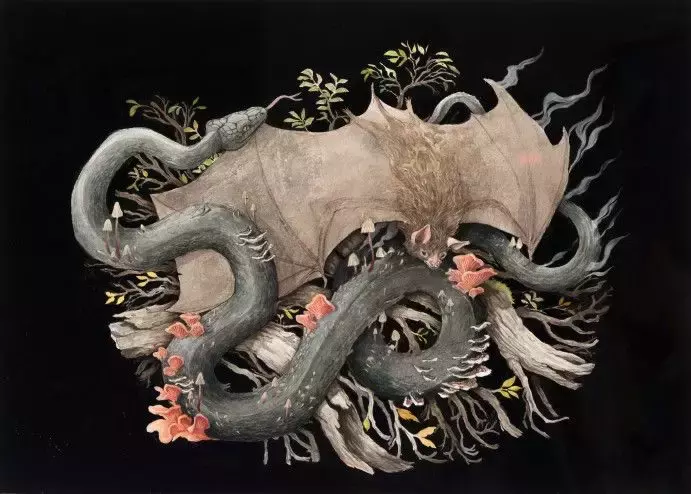 插画小白 x 美国留学 = 本文属于你