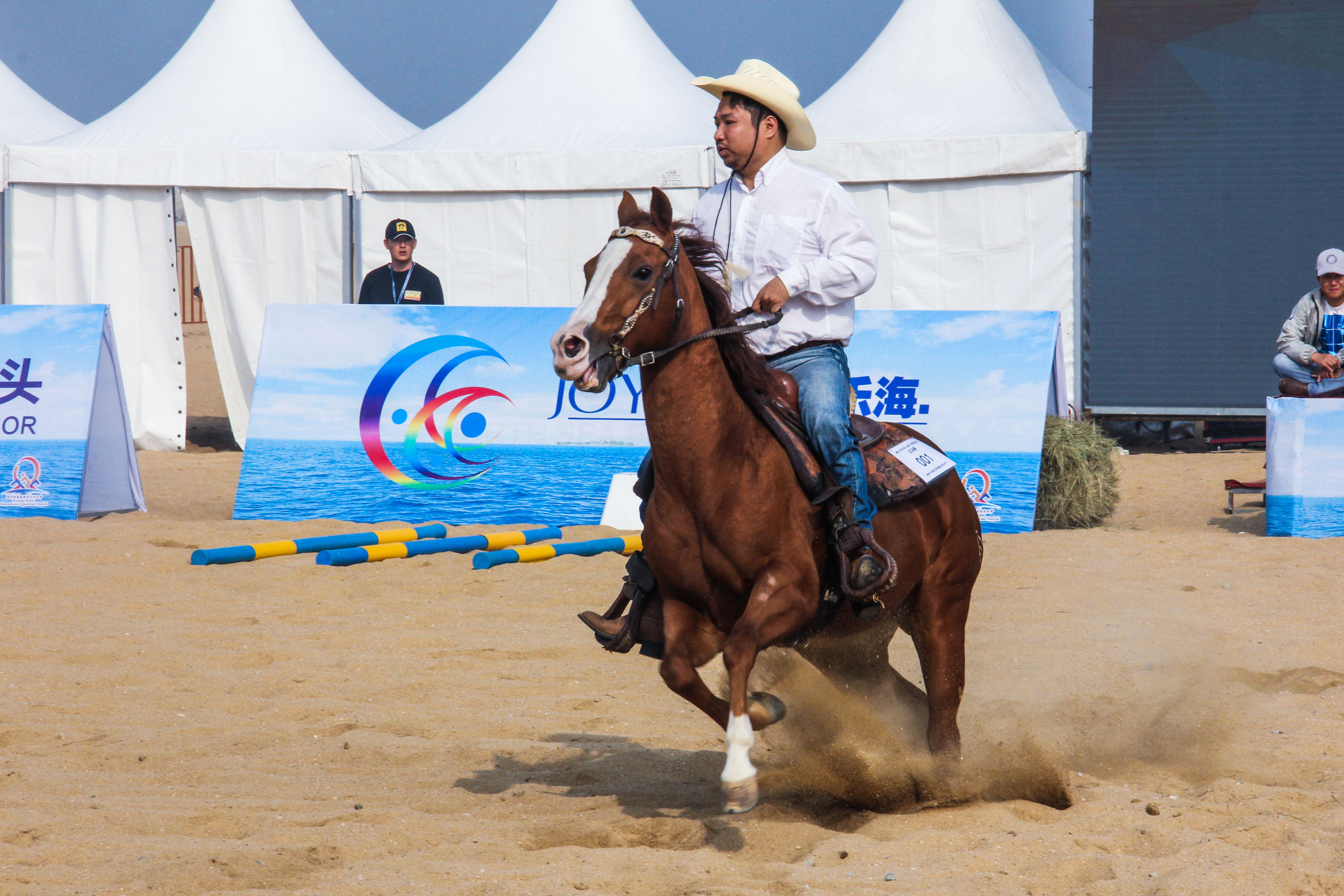 潍坊世界杯景点(策马奔腾,2018潍坊滨海国际马术文化节即将上演)