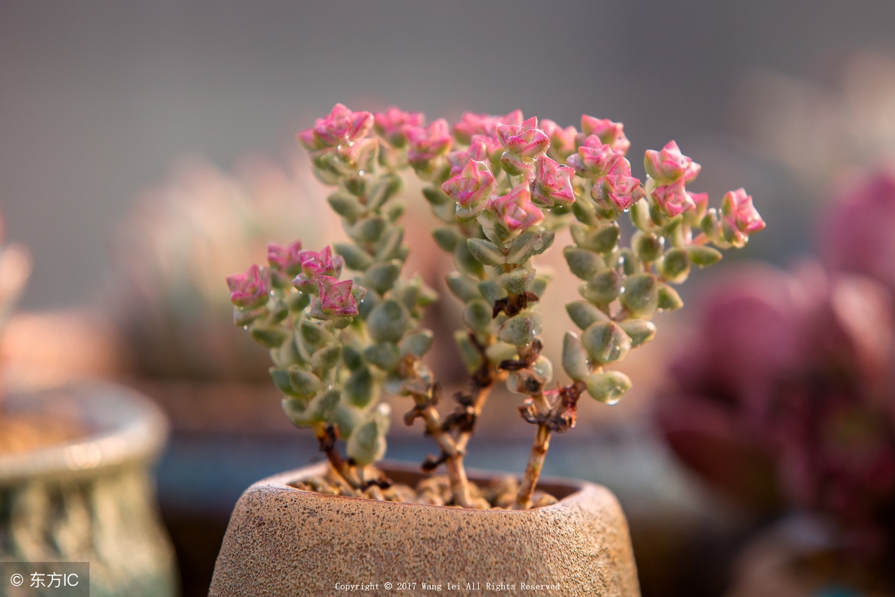 教师证练习题来啦，想考证的别错过~