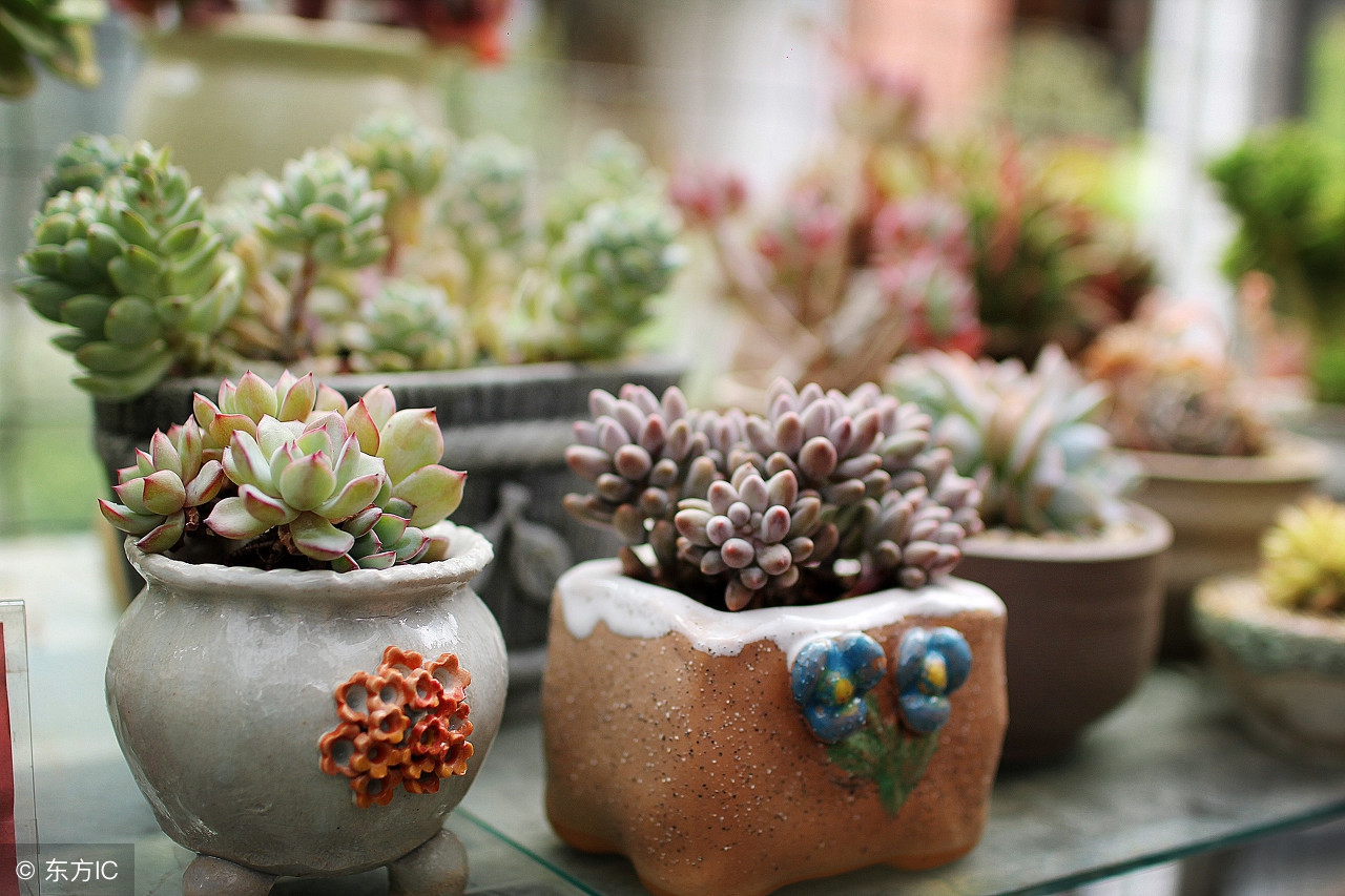 教师证练习题来啦，想考证的别错过~