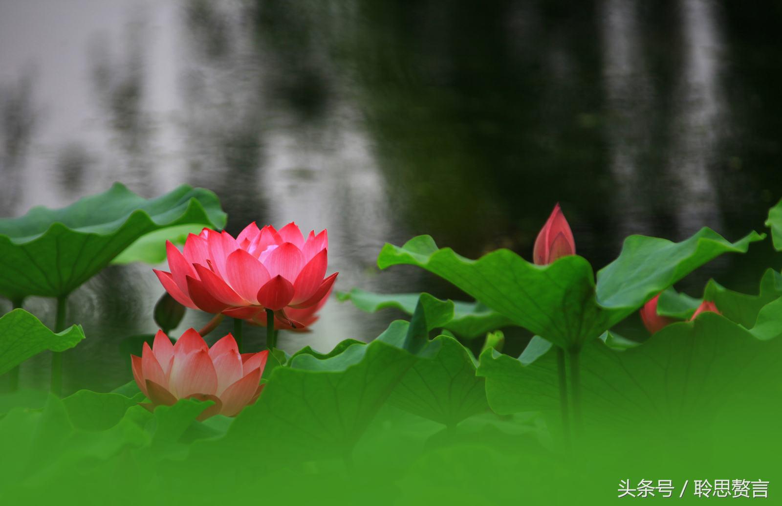 山水风景诗词精选三十一首 山川之美,古来共谈