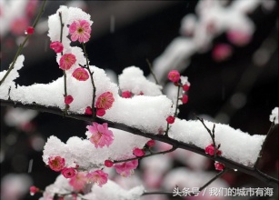红领巾的意义「专家解答」