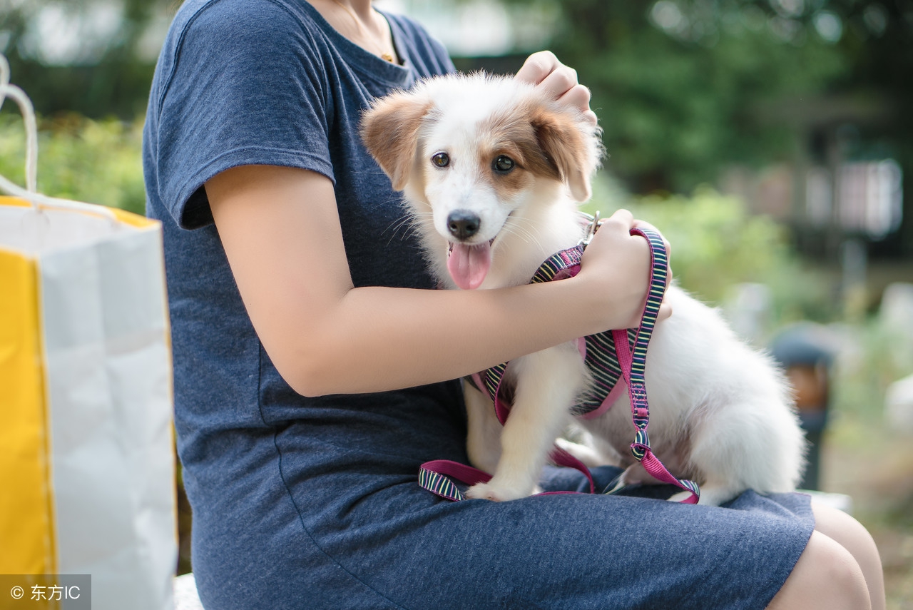 狂犬疫苗可以只打一针吗？这可不是好商量的事，别迟疑