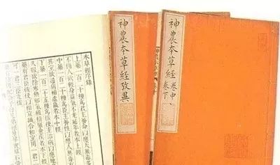 永不肾亏！每日一包，身体唤回新活力！1月喝出鲜活的肾~