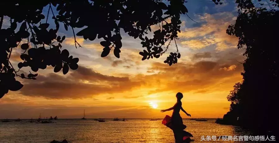 不离不弃，有多不容易