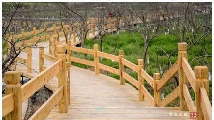 大假耍成都｜来成都不逛天府绿道，100%后悔！最全攻略在此