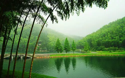 山际见来烟，竹中窥落日，一半竹林一半诗