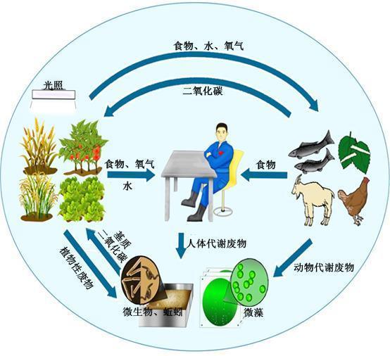 极精彩的极短科幻小说集锦（二）