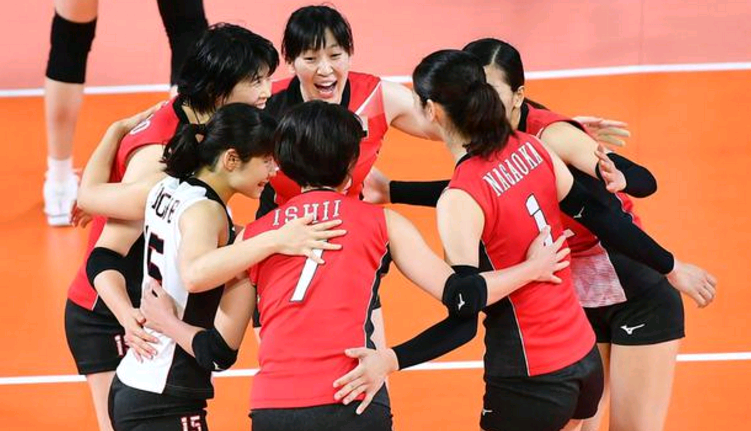 2019女排世界杯日本喀麦隆(3-0！日本女排横扫非洲劲旅提前出线，排名高居小组第二)