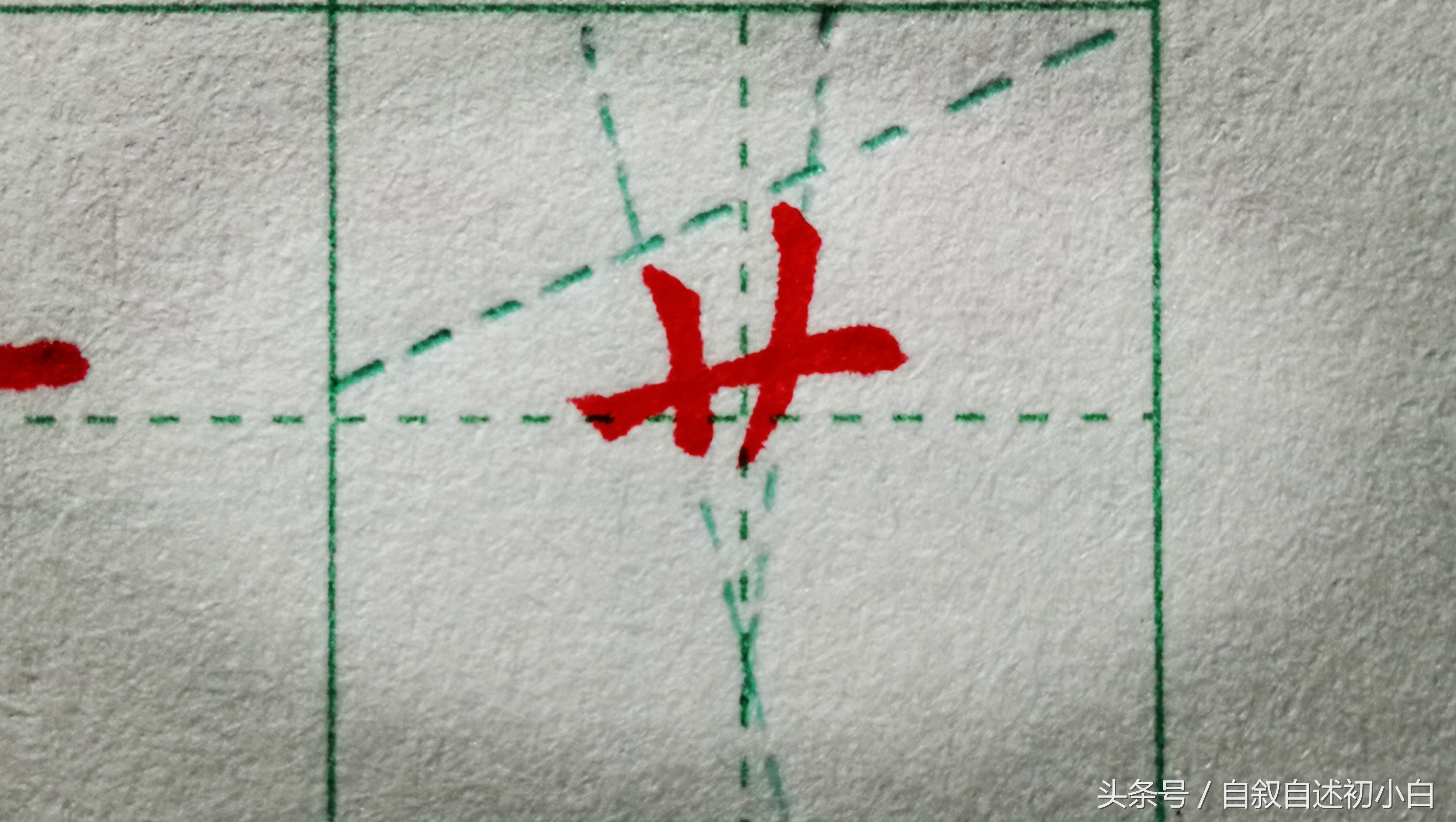 草字头加长(草字头加个长短的长)