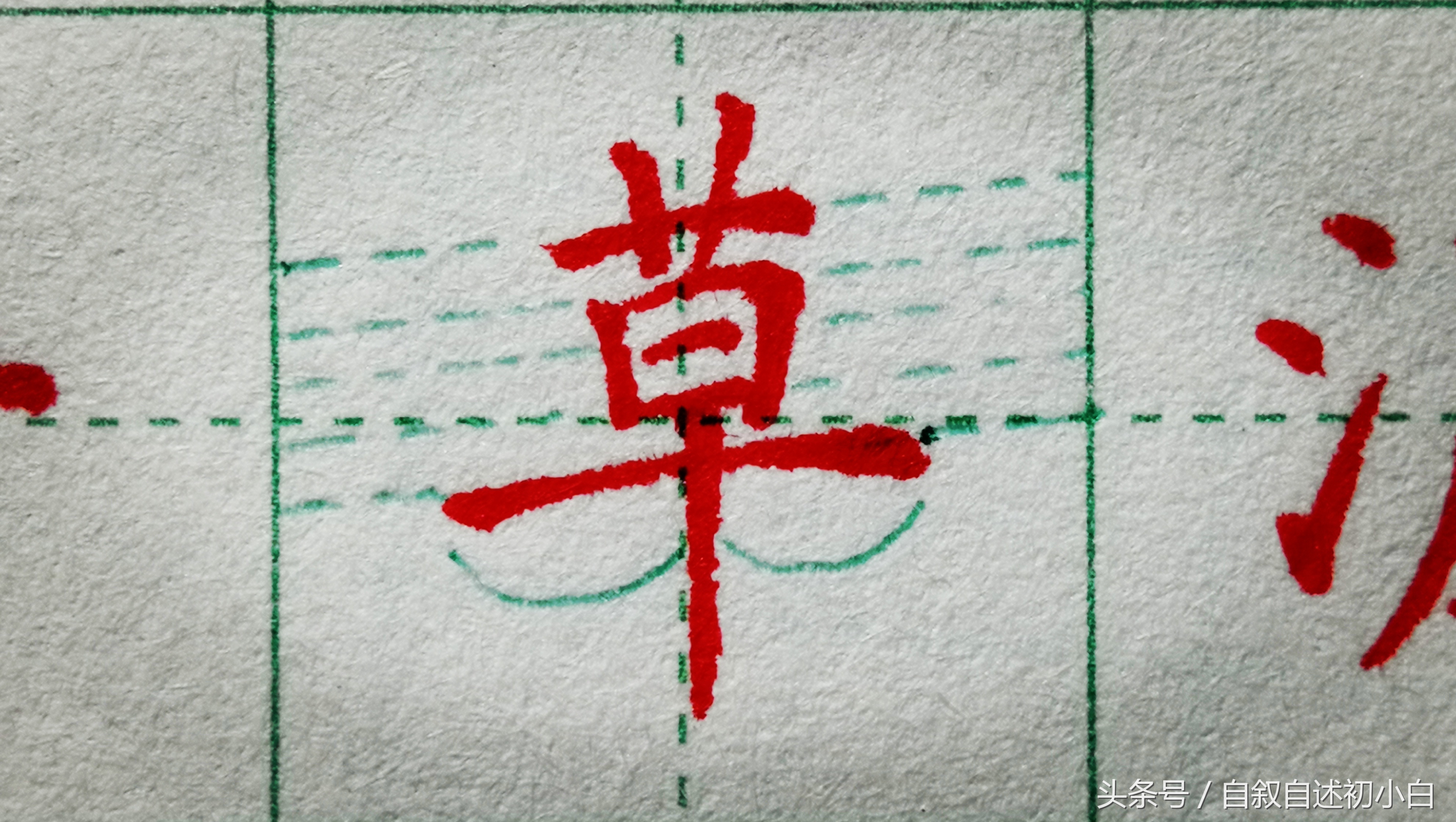 草字头加长(草字头加个长短的长)