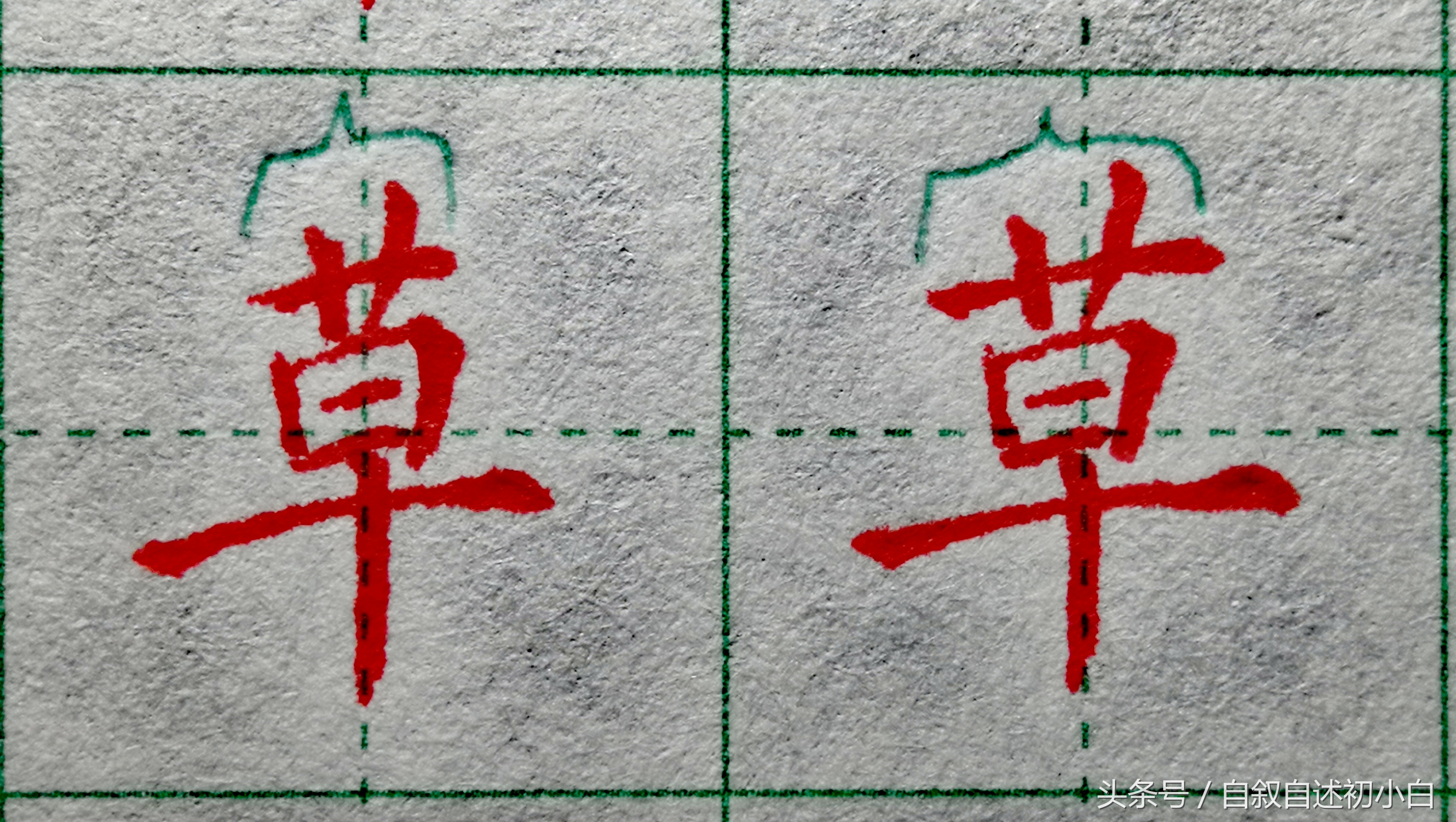 草字头加长(草字头加个长短的长)