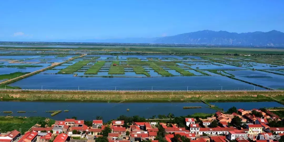 渭南大荔旅游攻略