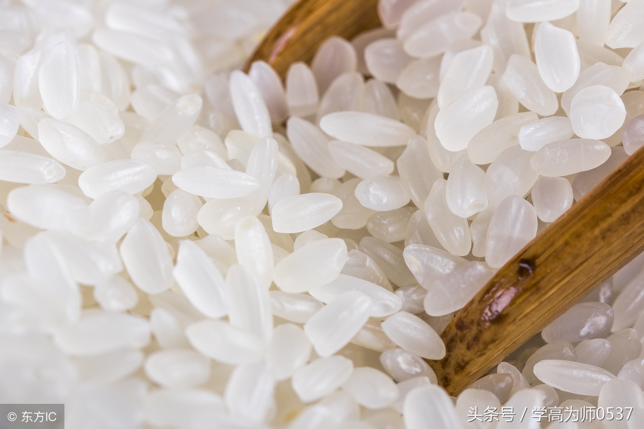 苏教版三年级上册第三单元测试题及答案