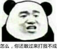 不带脏字骂人图潮(暴躁熊猫头怼人骂人表情包)