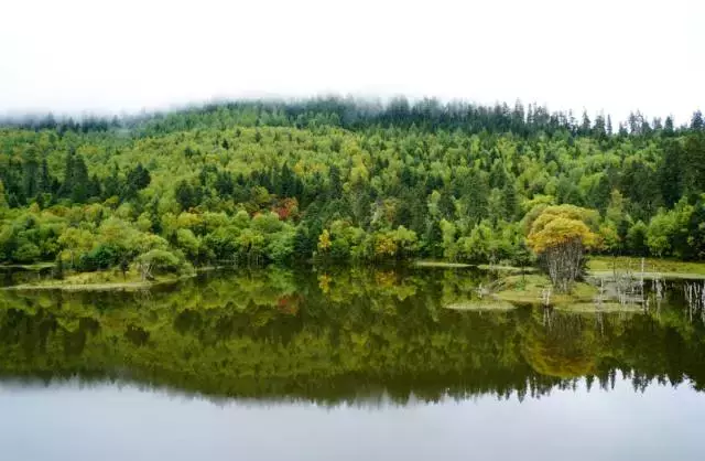 香格里拉：一眼便是万年，一次相遇便是一生