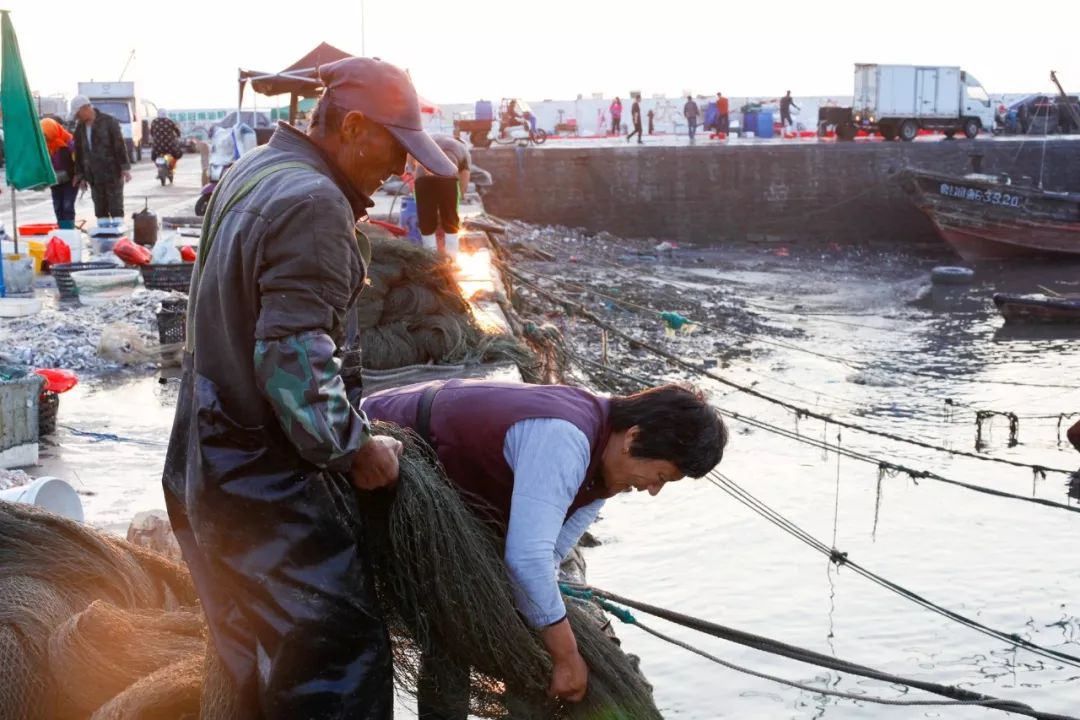 刚上岸的黄花鱼在日照大泉沟渔港2.5元一斤