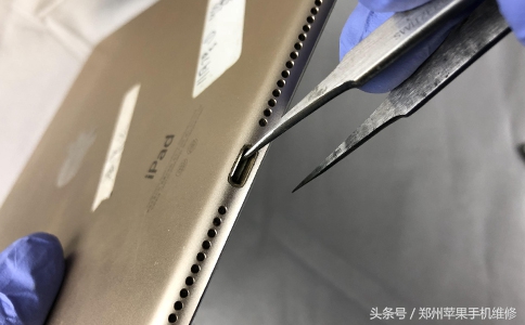 ipad为什么充不进电（ipad为什么充不进电了）-第5张图片-科灵网