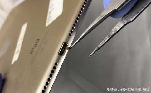 ipad为什么充不进电（ipad为什么充不进电了）-第6张图片-科灵网