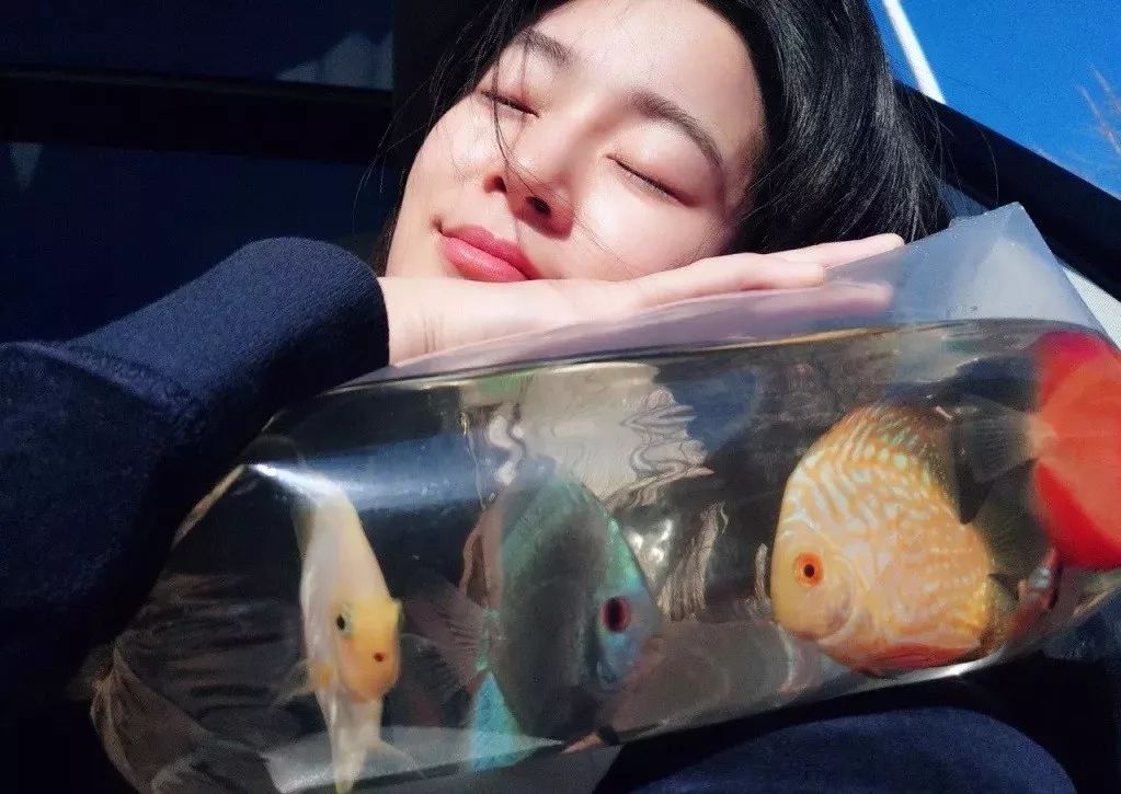 古装宫斗的“高级玩家”，在现实生活中也是如此