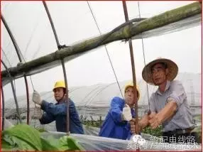 架空输电线10种常见外力破坏的防范措施