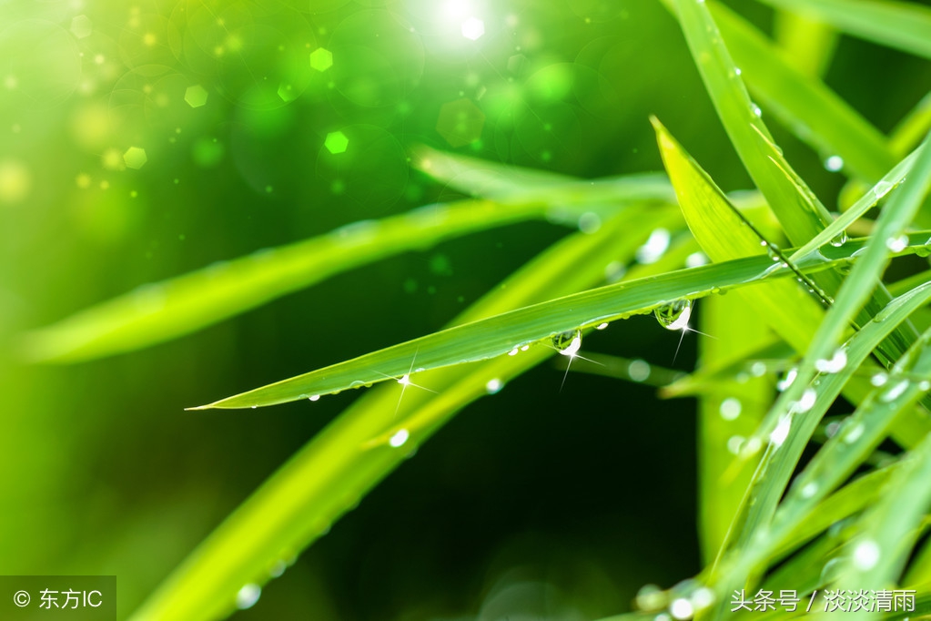 盘点20首描写雨的诗