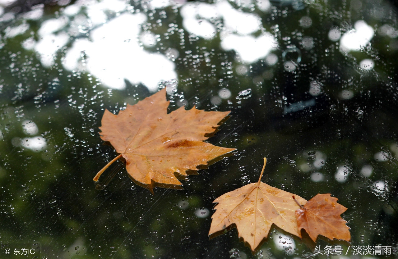 盘点20首描写雨的诗