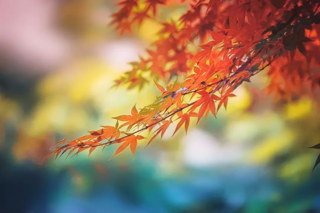 ɣͲɣʲôɣͲɣʲô裩-9ͼƬ-Ѷ