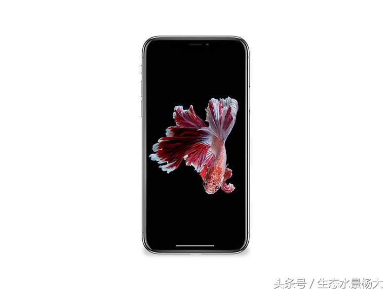 美到窒息~iphone 都拿它做屏保!