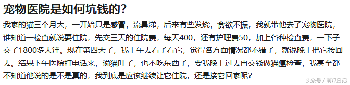 宠物医院就是个“坑”，宠物看病比人都贵！根源在哪里？