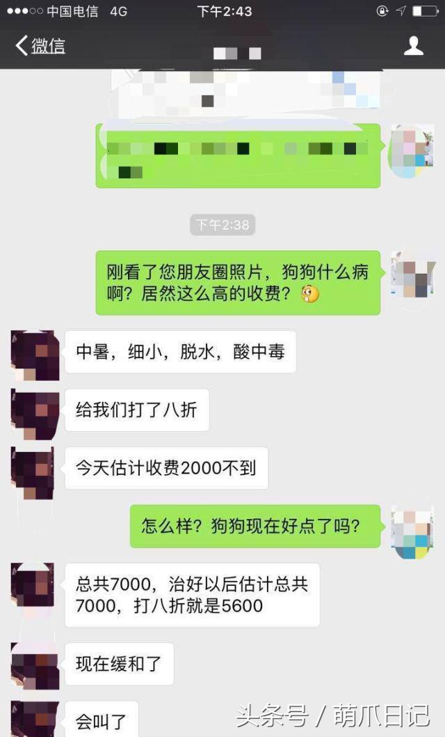 宠物医院就是个“坑”，宠物看病比人都贵！根源在哪里？