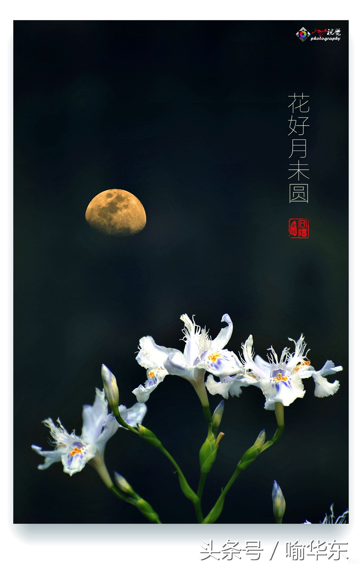 今年中秋夜,花好月未圆.身随孤篷远,心叹世道艰.