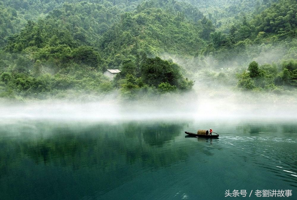 浓雾如纱，天地朦胧，万物隐匿于茫茫白雾之中。