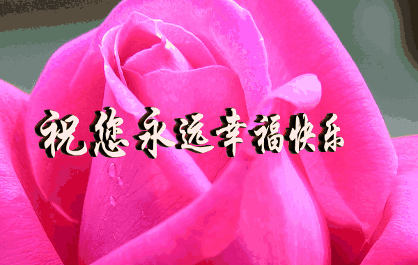 十全十美日!祝你的心愿十全十美圆圆美美