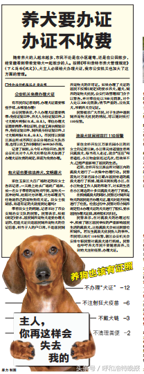 养犬要办证 办证不收费