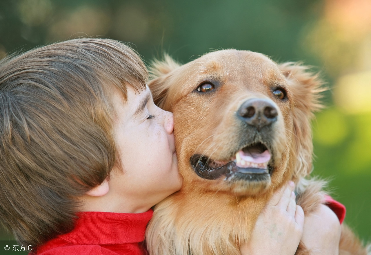 狂犬疫苗注射时间,狂犬疫苗注射时间间隔