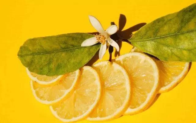 形容咖啡的风味，其实有26个关键词