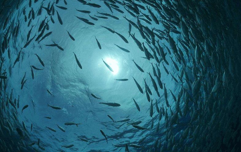 形容咖啡的风味，其实有26个关键词