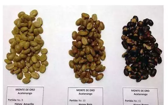 形容咖啡的风味，其实有26个关键词