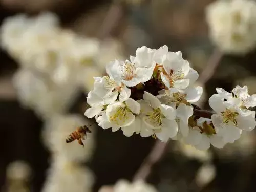 形容咖啡的风味，其实有26个关键词