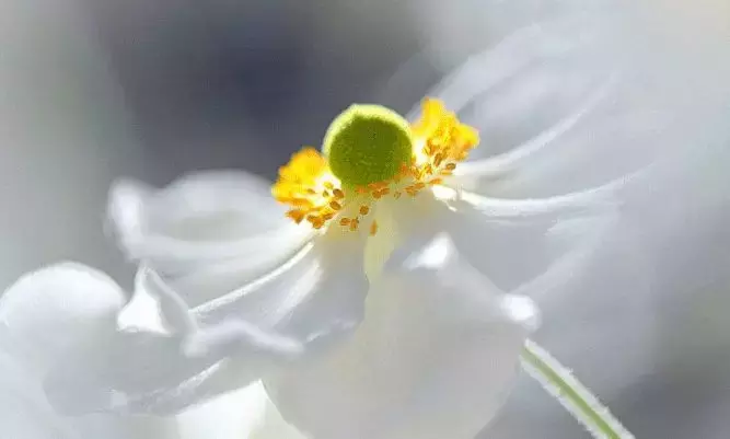 形容咖啡的风味，其实有26个关键词