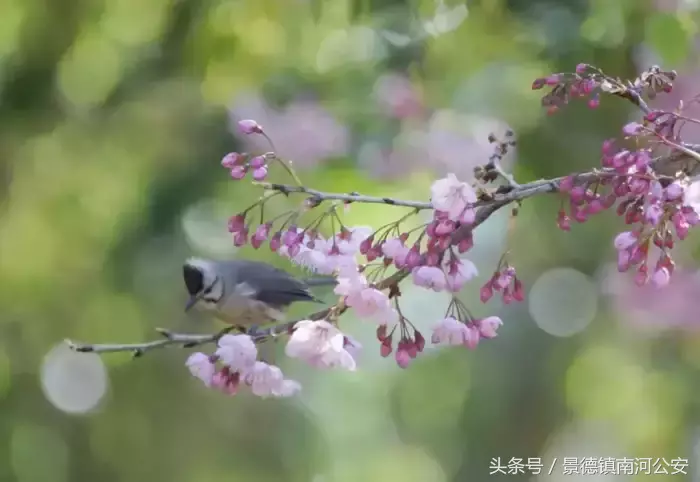 那些流传千古的诗词佳句