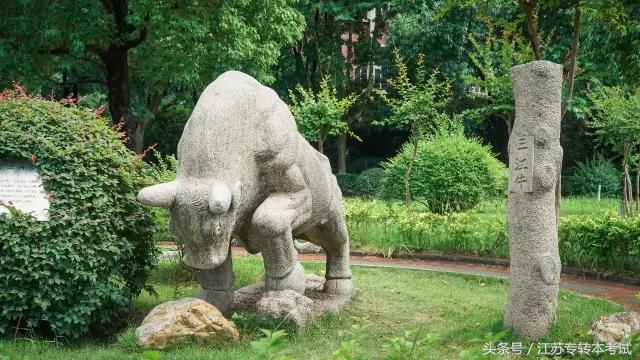 江苏专转本：三江学院