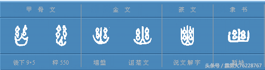 从象、数、甲骨文的角度解读周易第十卦履——踩老虎尾巴的技巧